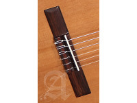 Alhambra Z-NATURE CT EZ incl. Gig Bag Alhambra Z-NATURE CT EZ incl. Gig Bag